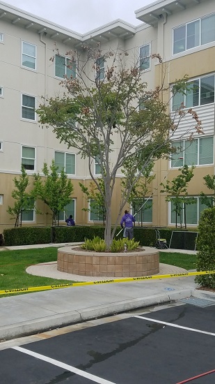 We handle all student housing window cleaning